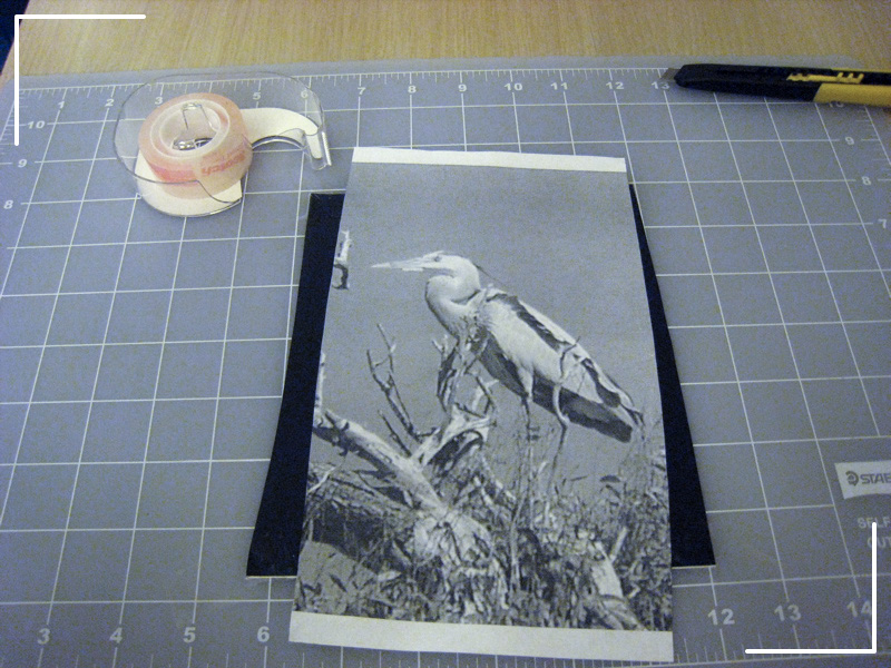 Tape Foil to Mat, Add Bird on Top