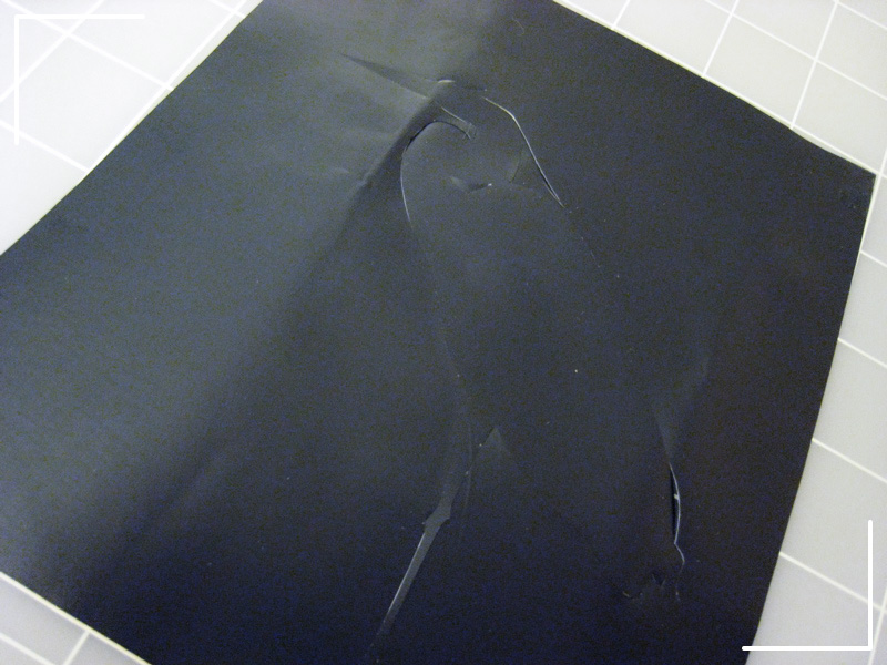 Remove Bird and Correct Errors<