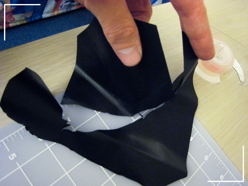 Reinforce the Back of the Bird