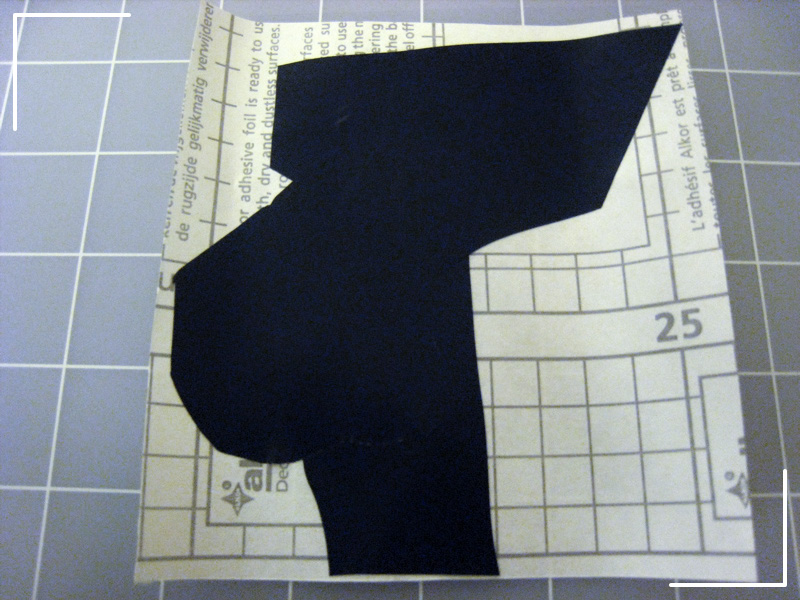 Reinforce the Back of the Bird